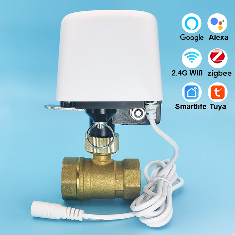 Home Assistant Tuya - Valvola dell'Acqua WiFi Tuya Zigbee da