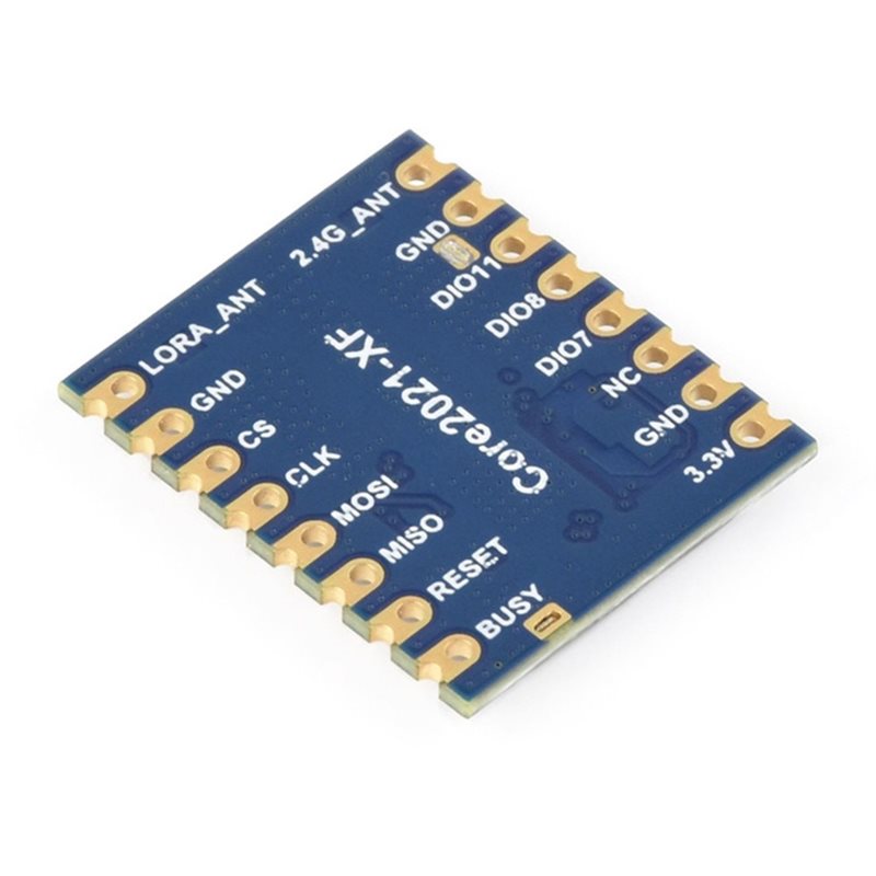 AA60 Core2021-LF Modulo LoRa D - Smart Home Module Iot recensione e prezzo