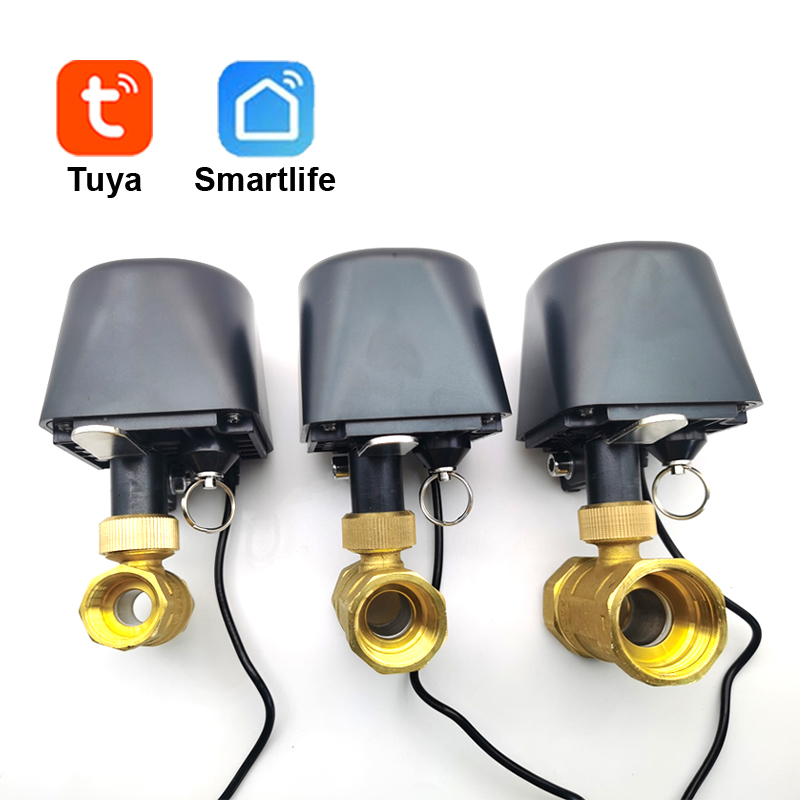 Tuya WiFi o Zigbee Valvola del - Home Assistant Tuya recensione e prezzo